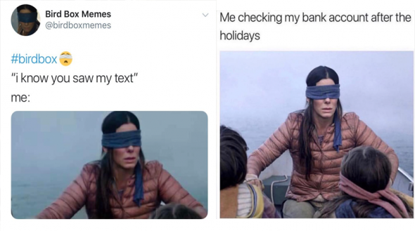 bird box memes