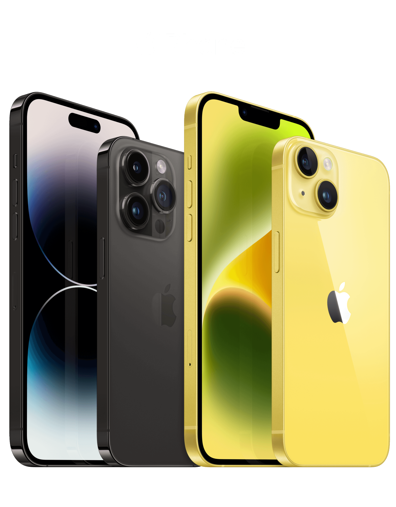 iphone 12 mini sample image with bold text above